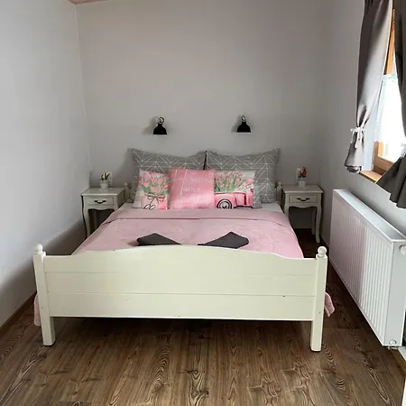 Tulipanos Vendeghaz *